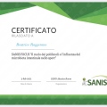 Ingrandire l'immagine: certificate 1