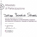 Ingrandire l'immagine: certificate 2