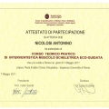 Ingrandire l'immagine: certificate 17