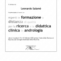 Ingrandire l'immagine: certificate 26