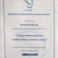 Ingrandire l'immagine: certificate 5