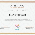 Ingrandire l'immagine: certificate 22