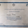 Ingrandire l'immagine: certificate 24