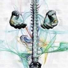 Ingrandire l'immagine: Danilo D'Agapiti, osteopata Velletri