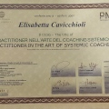 Ingrandire l'immagine: certificate 7