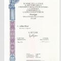 Ingrandire l'immagine: certificate 2