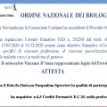 Ingrandire l'immagine: certificate 1