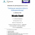 Ingrandire l'immagine: certificate 4
