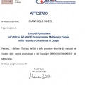 Ingrandire l'immagine: certificate 9