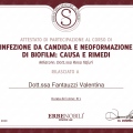 Ingrandire l'immagine: certificate 22