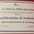 Ingrandire l'immagine: certificate 1