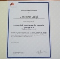 Ingrandire l'immagine: certificate 9