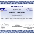 Ingrandire l'immagine: certificate 11