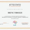 Ingrandire l'immagine: certificate 20