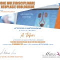 Ingrandire l'immagine: certificate 4