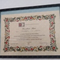 Ingrandire l'immagine: certificate 1