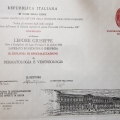 Ingrandire l'immagine: certificate 2