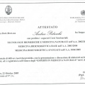 Ingrandire l'immagine: certificate 1
