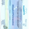 Ingrandire l'immagine: certificate 9