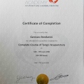 Ingrandire l'immagine: certificate 6