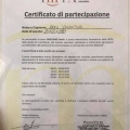 Ingrandire l'immagine: certificate 14