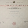 Ingrandire l'immagine: certificate 3