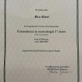 Ingrandire l'immagine: certificate 2