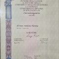Ingrandire l'immagine: certificate 1