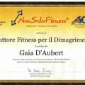 Ingrandire l'immagine: certificate 4