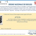 Ingrandire l'immagine: certificate 17