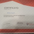 Ingrandire l'immagine: certificate 11