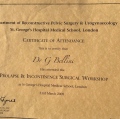 Ingrandire l'immagine: certificate 3
