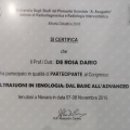 Ingrandire l'immagine: certificate 5