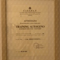 Ingrandire l'immagine: certificate 5