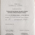 Ingrandire l'immagine: certificate 8