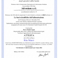 Ingrandire l'immagine: certificate 8