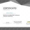 Ingrandire l'immagine: certificate 9