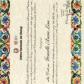 Ingrandire l'immagine: certificate 1
