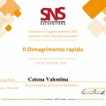 Ingrandire l'immagine: certificate 5