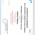 Ingrandire l'immagine: certificate 4