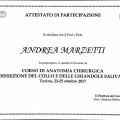 Ingrandire l'immagine: certificate 16