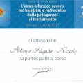 Ingrandire l'immagine: certificate 11