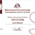 Ingrandire l'immagine: certificate 28