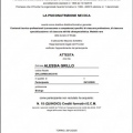 Ingrandire l'immagine: certificate 13