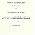 Ingrandire l'immagine: certificate 4