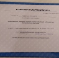Ingrandire l'immagine: certificate 5