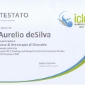Ingrandire l'immagine: certificate 11