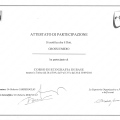Ingrandire l'immagine: certificate 4