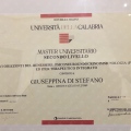 Ingrandire l'immagine: certificate 12