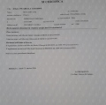 Ingrandire l'immagine: certificate 1